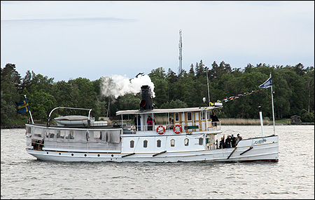 Ejdern i Tenösund.