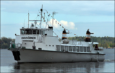 Havsrnen i Vsters 2008-05-03