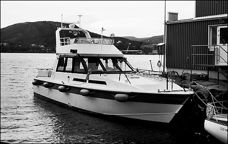 Rita III av Docksta i Docksta 1991-07-11