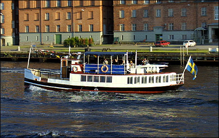 Kung Karl vid Kvarnholmen, Stockholm 2004-07-28