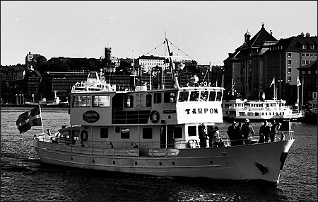Tarpon på Strömmen, Stockholm 1993-07-05