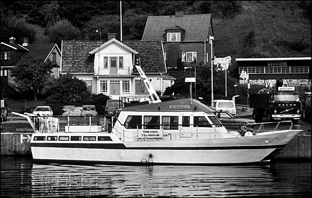 Hvenhild p� Ven 1991-07-26