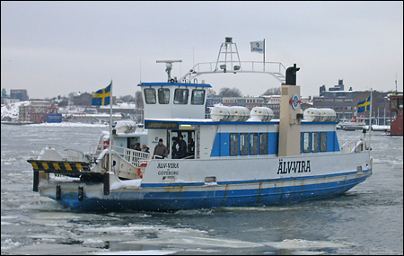 �lv-Vira av G�teborg vid Rosenlund, G�teborg 2010-02-22