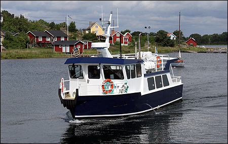 Anemon vid Tärnö, Karlshamn 2011-07-25