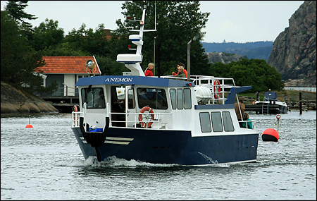 Anemon vid Rörtångens brygga, Kungälv 2007-07-12