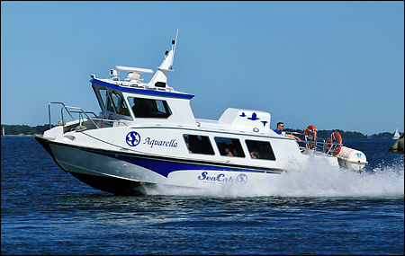Aquarella vid Hamn, Mja 2008-07-30