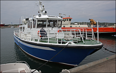 Trindeln vid Donsö 2014-07-04