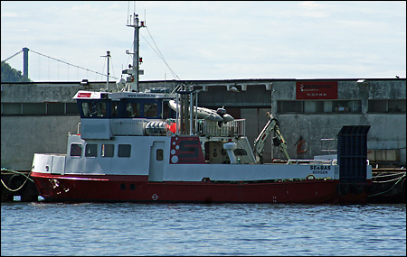 Seabas vid Hegreneset, Bergen 2007-06-03