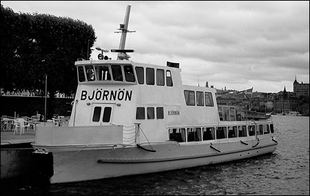 Bj�rn�n vid Stadshuskajen, Stockholm 1993-07-09