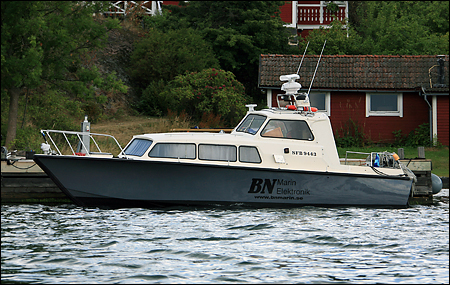 Sj�bj�rn vid Korsholmsvarvet, Dalar� 2008-08-01
