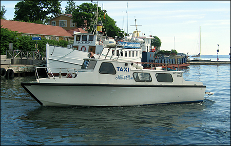 Vargvik vid Dalar 2005-06-20
