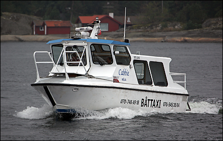 Cabbie utanfr Ramsmora, Mja 2010-08-18