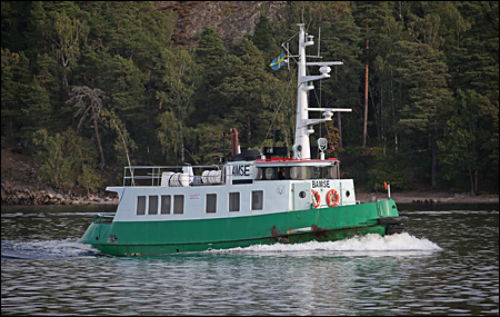 Bamse vid Gr�vlingsberg, Nacka 2016-09-13