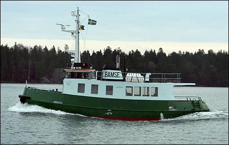 Bamse vid Bedarn, Nynshamn 2007-12-09
