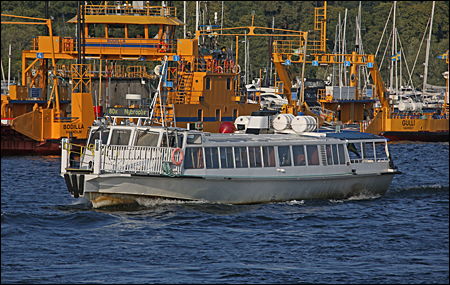 Delfin XII vid Beckholmen, Stockholm 2024-09-01