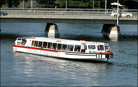 Delfin I vid Str�mbron, Stockholm 2004-07-20