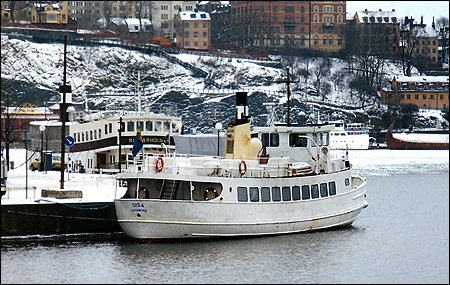 Disa vid Riddarholmen, Stockholm 1999-02-10