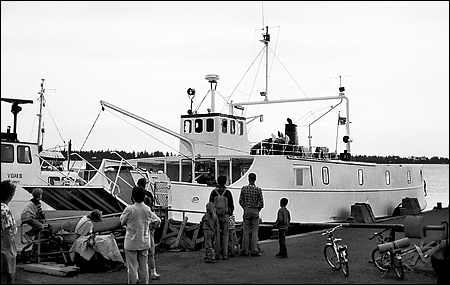 Norrbysk�r i Norrbyn 1991-07-11