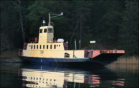 Tur i Hemviken, Tynning� 2007-11-17