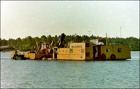 Ester vid Bergshamra 1988-07-23