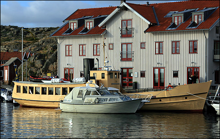 St�ngehufvud i Grundsund 2007-07-13