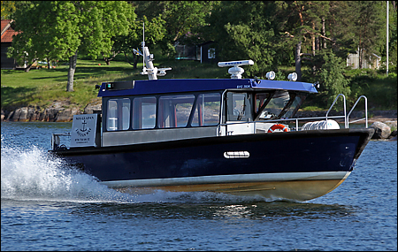 Gladan vid Skäggaudd, Lindalssundet 2009-06-09