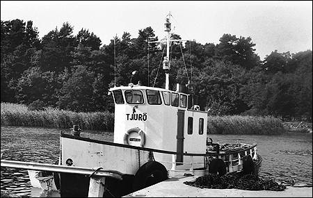 Tjur vid Gruvbryggan, Ut 1973-07-26