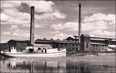 Gunn vid Insj�ns Tegelbruk, Siljan