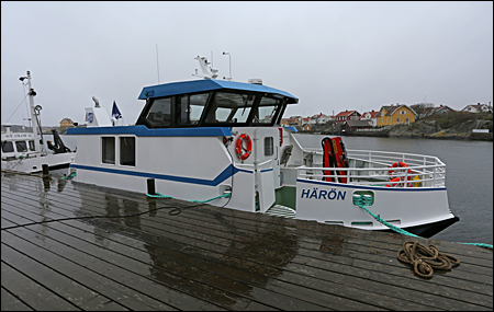 Härön vid Kyrkesund, Tjörn 2015-04-15