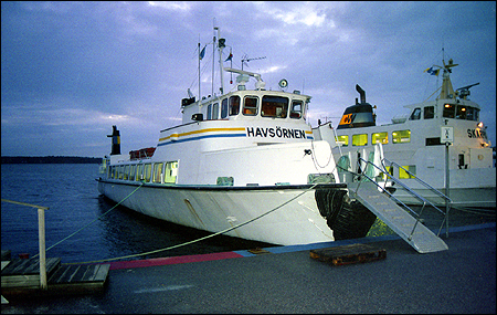 Havsörnen i Stavsnäs 1998-12-28