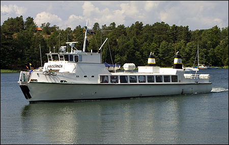 Havsörnen i Stavsnäs 1998-12-28