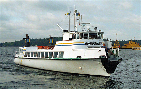 Havsörnen i Vaholm 1995-09