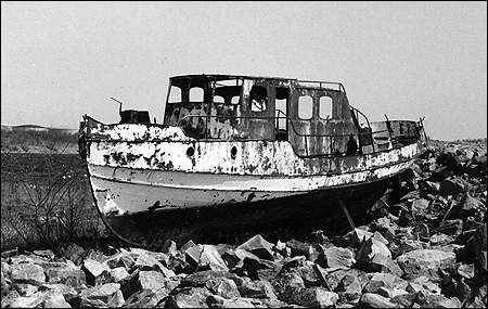 Iris p� Adlerholmen, G�vle 1999-07-14