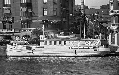Svan vid Strandvgskajen, Stockholm 1978-08