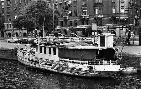Svan vid Strandv�gskajen, Stockholm 1977-08-20