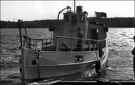 Svan vid Sipps�, Lindalssundet 1959