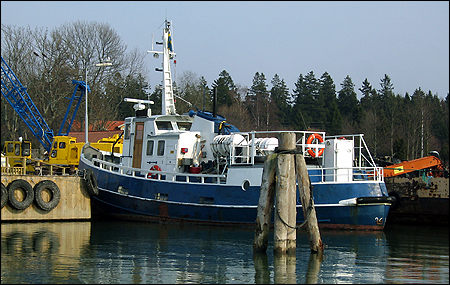 Gudungen av S�der�ra vid S�der�ra 2006-04-29