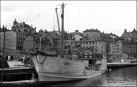 Gneis vid S�der M�larstrand, Stockholm