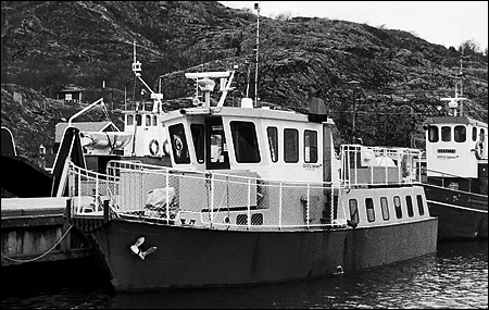 L�v� av Dyr�n vid Dyr�n 1991-11-16