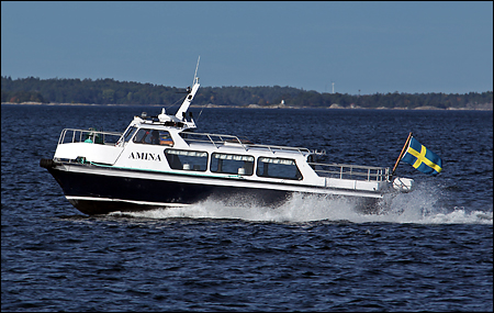 Amina utanfr Lngvik, Runmar 2009-09-25