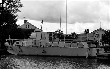 Lejonungen i Söderköping 1992-09-20