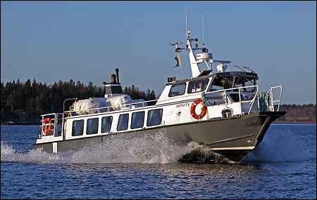 Moneta utanför Räfsnäs, Rådmansö 2009-11-21