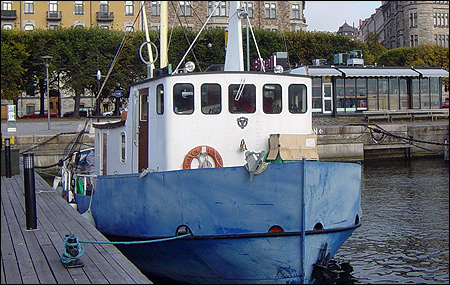 Svanen vid Strandvägskajen, Stockholm 2005-10-19