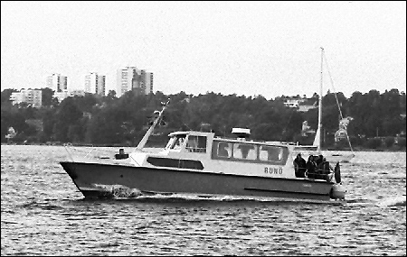 Run� vid Fj�derholmarna, Stockholm 2002-09-13