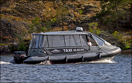 Vild utanf�r H�sselby Strand, Stockholm 2025-06-25