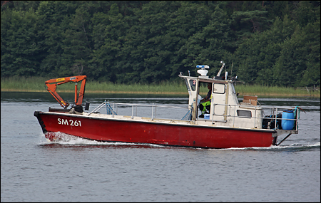 R�de Orm vid L�ngvik, M�ja 2011-07-26