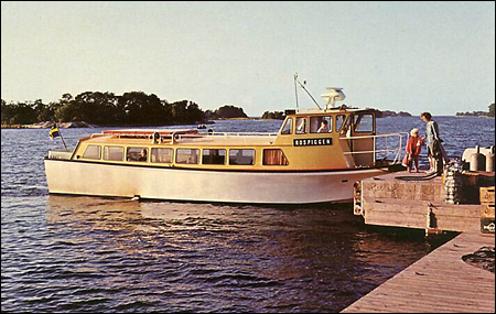 Rospiggen vid R�dl�ga