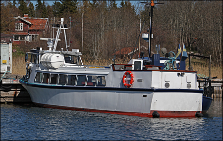 Rospiggen vid S�der�ra 2014-05-04