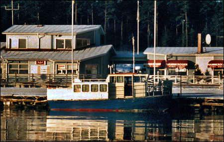 Kyana i Stavsn�s 1995-12-31