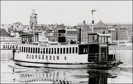 Djurg�rden 6 p� Str�mmen, Stockholm 1976-02-01